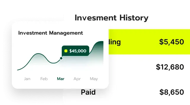 Zephgain investment strategy